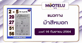 ม้าสีหมอก 16-09-64