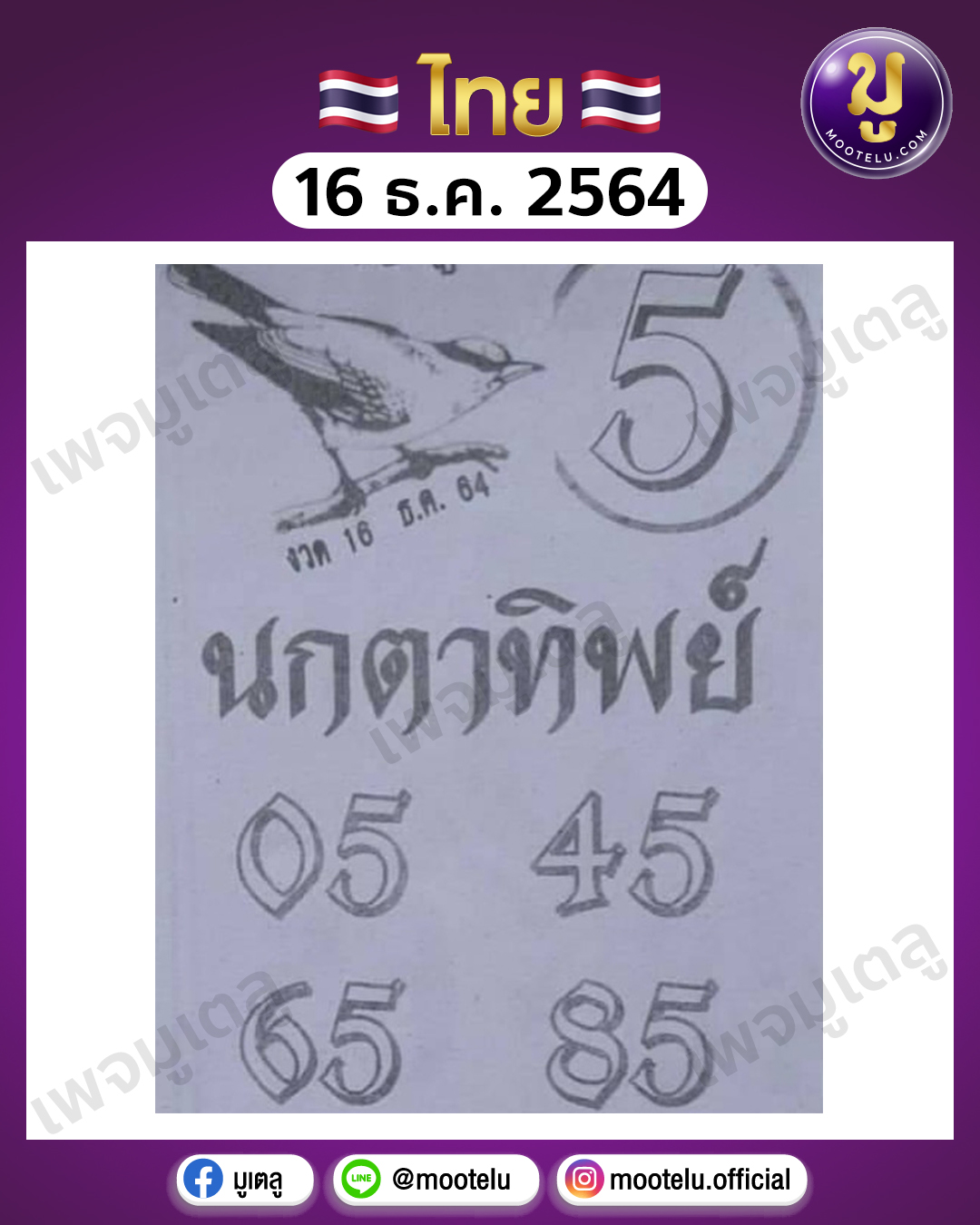 นกตาทิพย์ 16-12-64