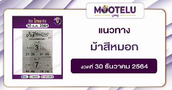 ม้าสีหมอก 30-12-64