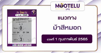ม้าสีหมอก 1-2-65