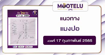 แมงปอ 17-2-65 *งวดที่แล้วเข้า 2 ตัว 3 ตัวตรง*