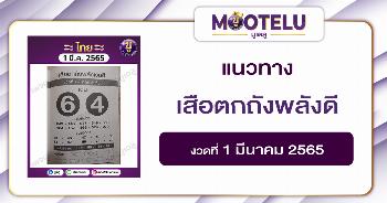 เสือตกถังพลังเงินดี 1-3-65
