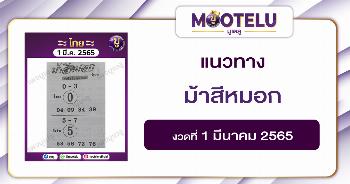 ม้าสีหมอก 1-3-65