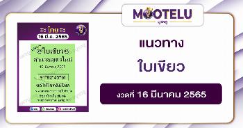 ใบเขียว 16-3-65