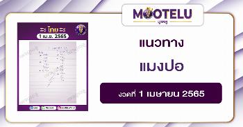 แมงปอ 1-4-65