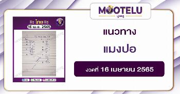 แมงปอ 16-4-65