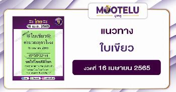 ใบเขียว 16-4-65