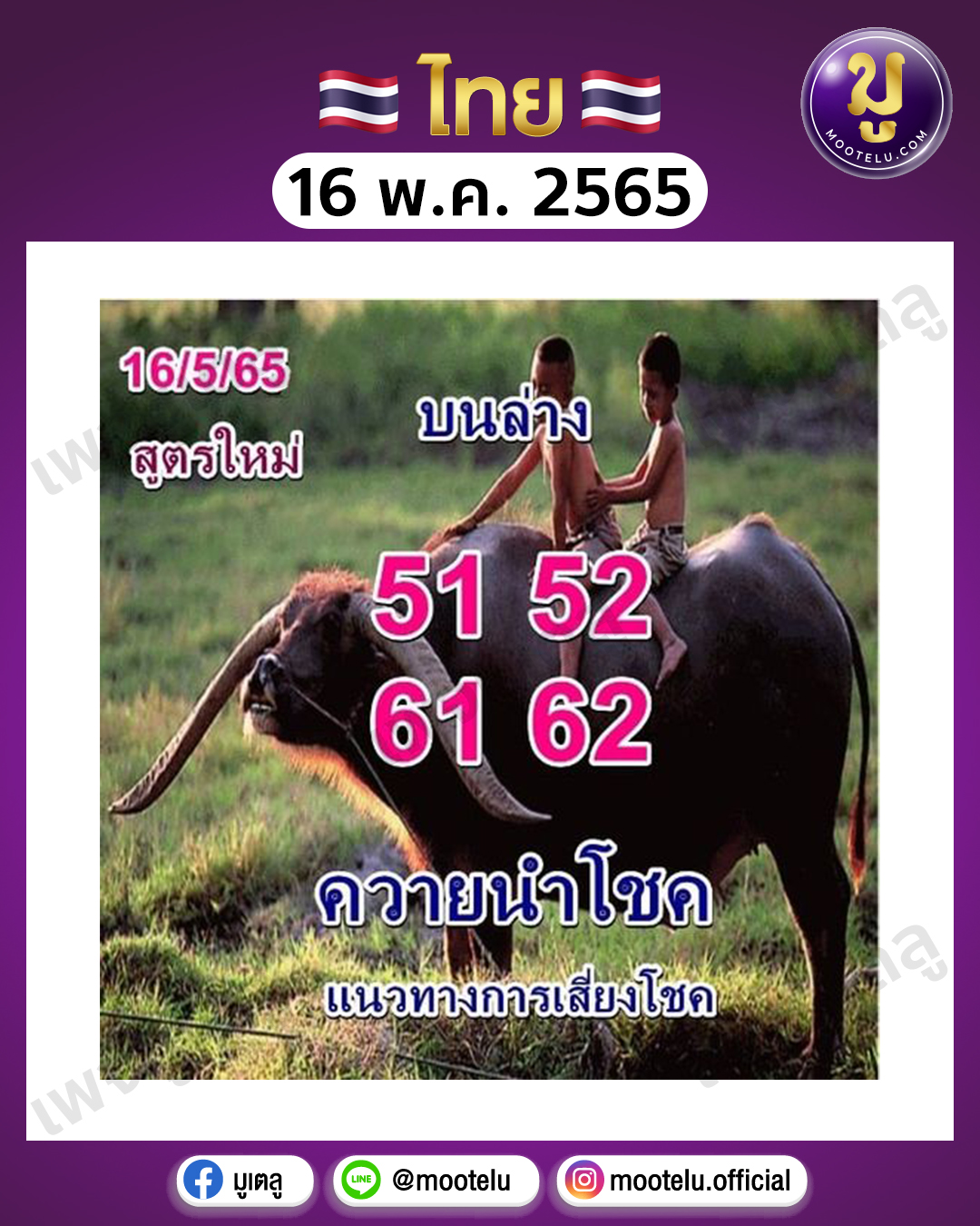 ควายนำโชค 16-5-65