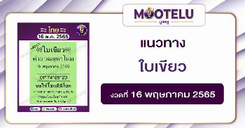 ใบเขียว 16-5-65