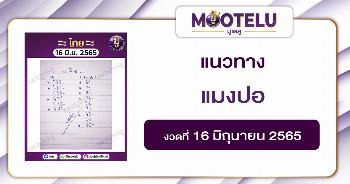 แมงปอ 16-6-65