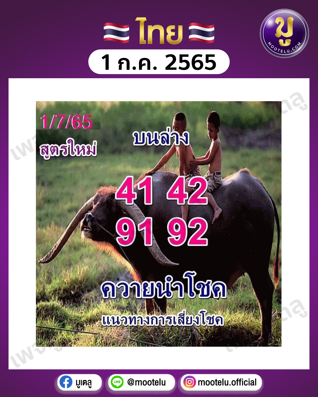 ควายนำโชค 1-7-65