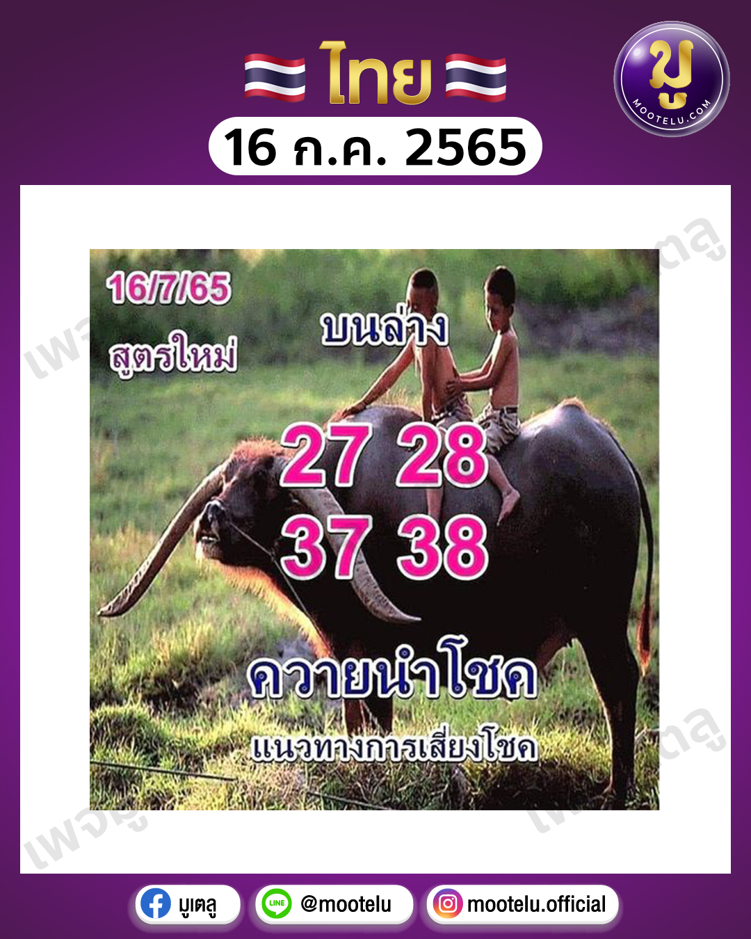 ควายนำโชค 16-7-65
