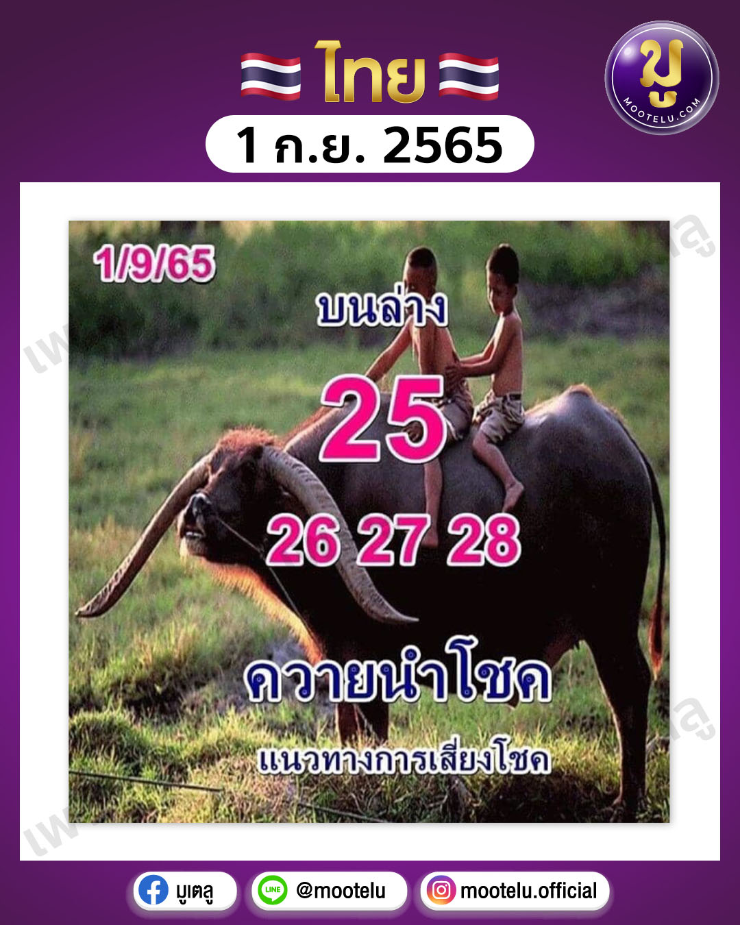 ควายนำโชค 1-9-65