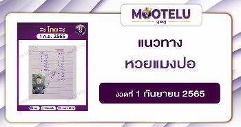 หวยแมงปอ 1-9-65