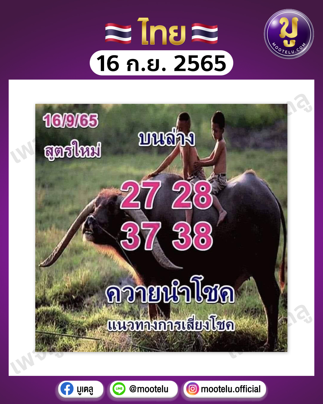 ควายนำโชค 16-9-65