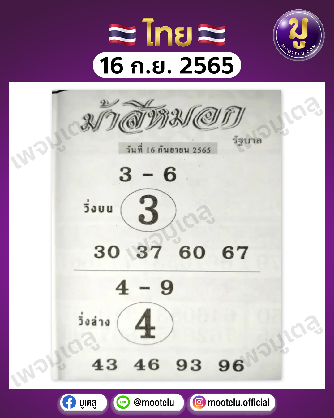 ม้าสีหมอก 16-9-65
