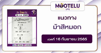ม้าสีหมอก 16-9-65