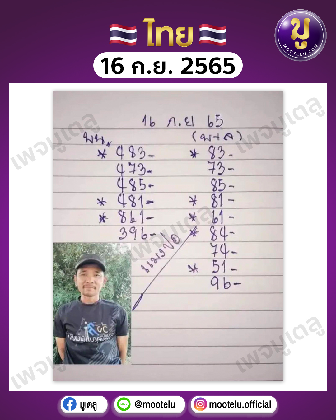 แมงปอ 16-9-65