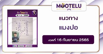 แมงปอ 16-9-65