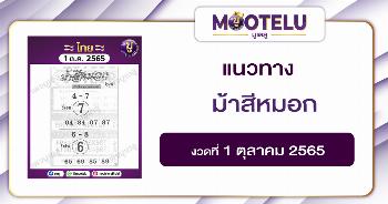 ม้าสีหมอก 1-10-65