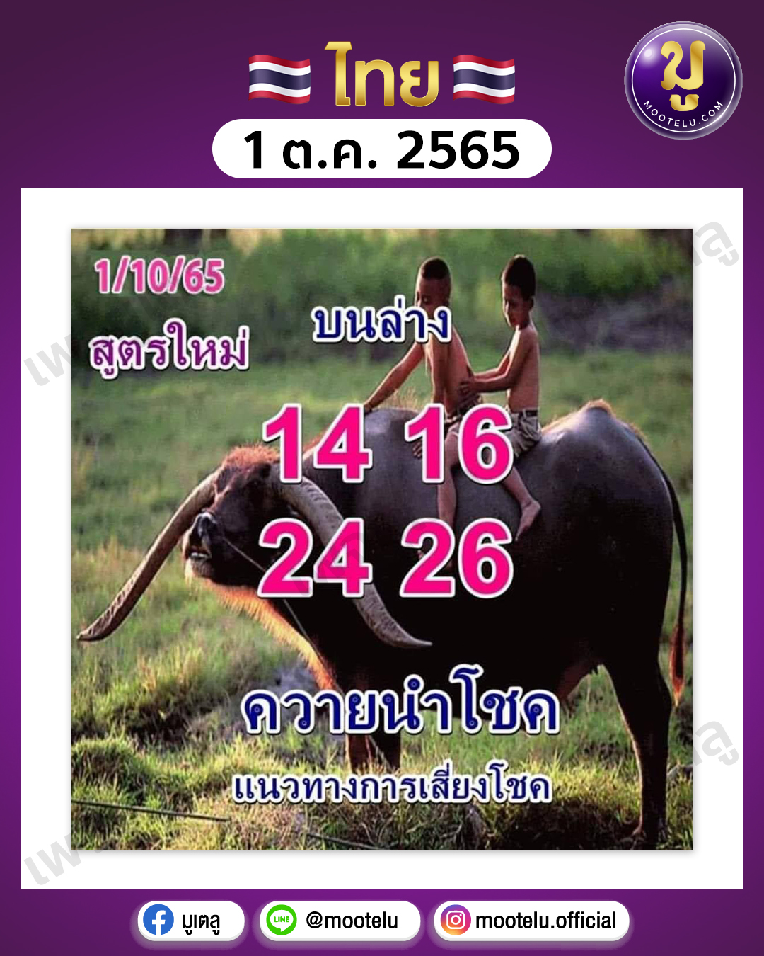 ควายนำโชค 1-10-65