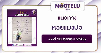 หวยแมงปอ 16-10-65