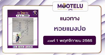 หวยแมงปอ 1-11-65