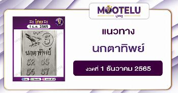 นกตาทิพย์ 1-12-65