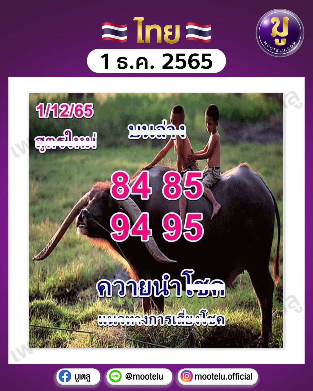 ควายนำโชค 1-12-65