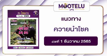 ควายนำโชค 1-12-65