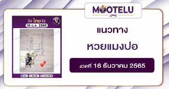 หวยแมงปอ 16-12-65
