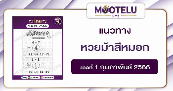หวยม้าสีหมอก 1-2-66