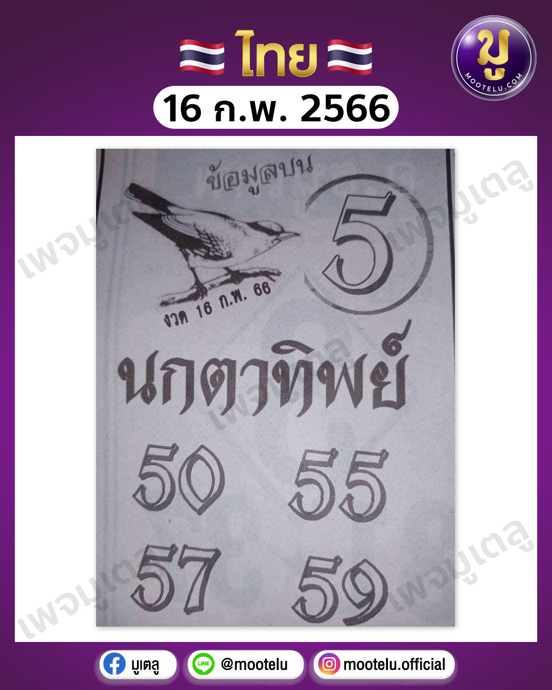 นกตาทิพย์ 16-2-66