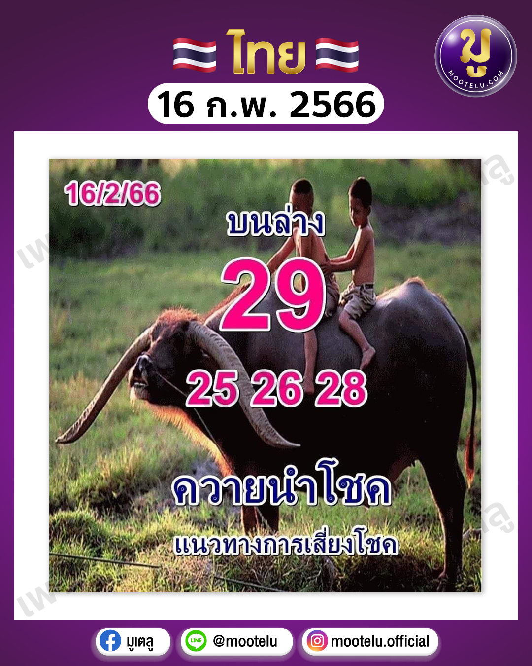 หวยควายนำโชค 16-2-66