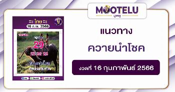 หวยควายนำโชค 16-2-66
