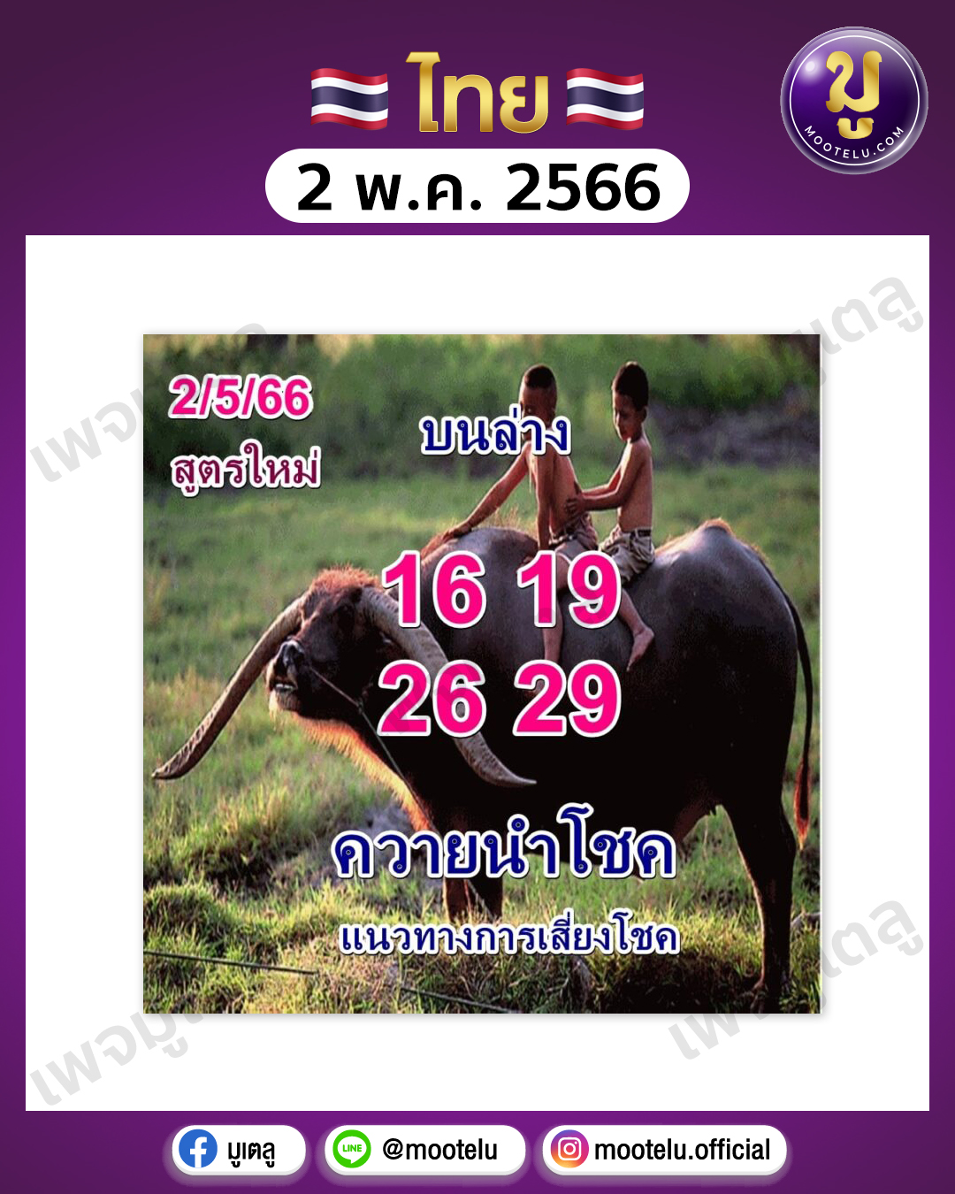 หวยควายนำโชค 2-5-66