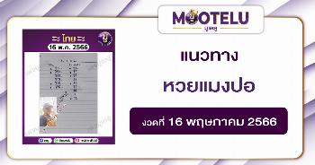 หวยแมงปอ 16-5-66 