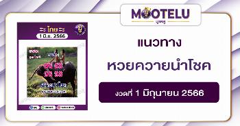 หวยควายนำโชค 1-6-66