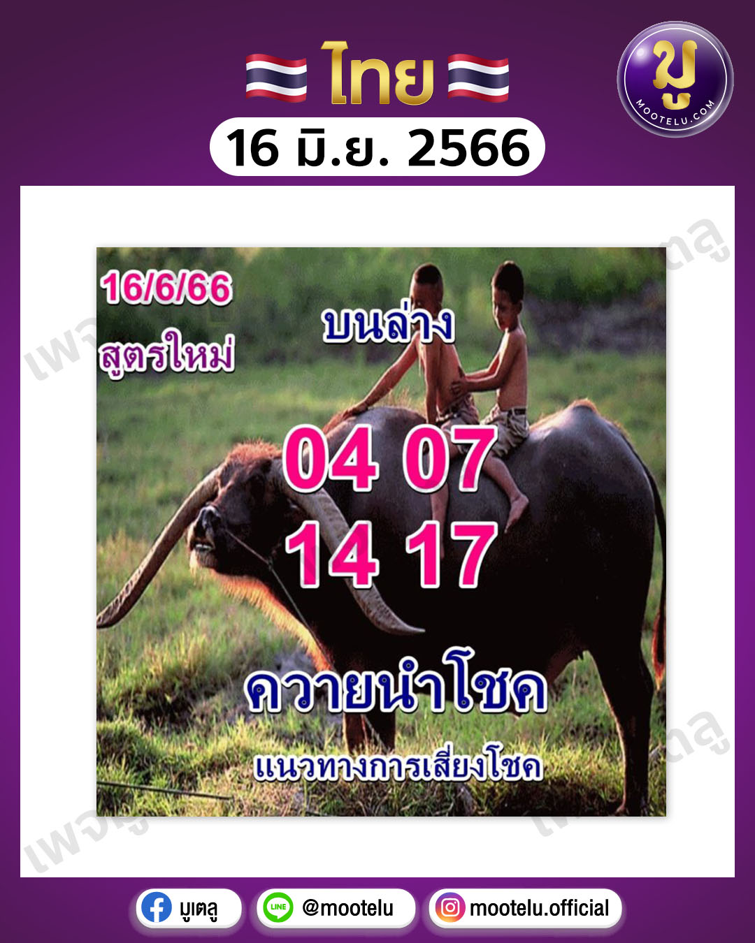 หวยควายนำโชค 16-6-66