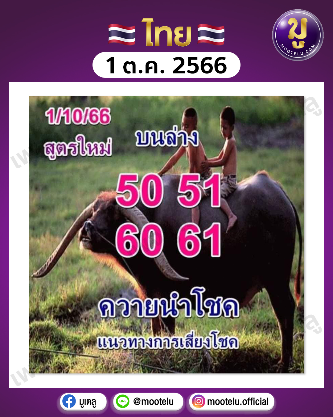 หวยควายนำโชค 1-10-66
