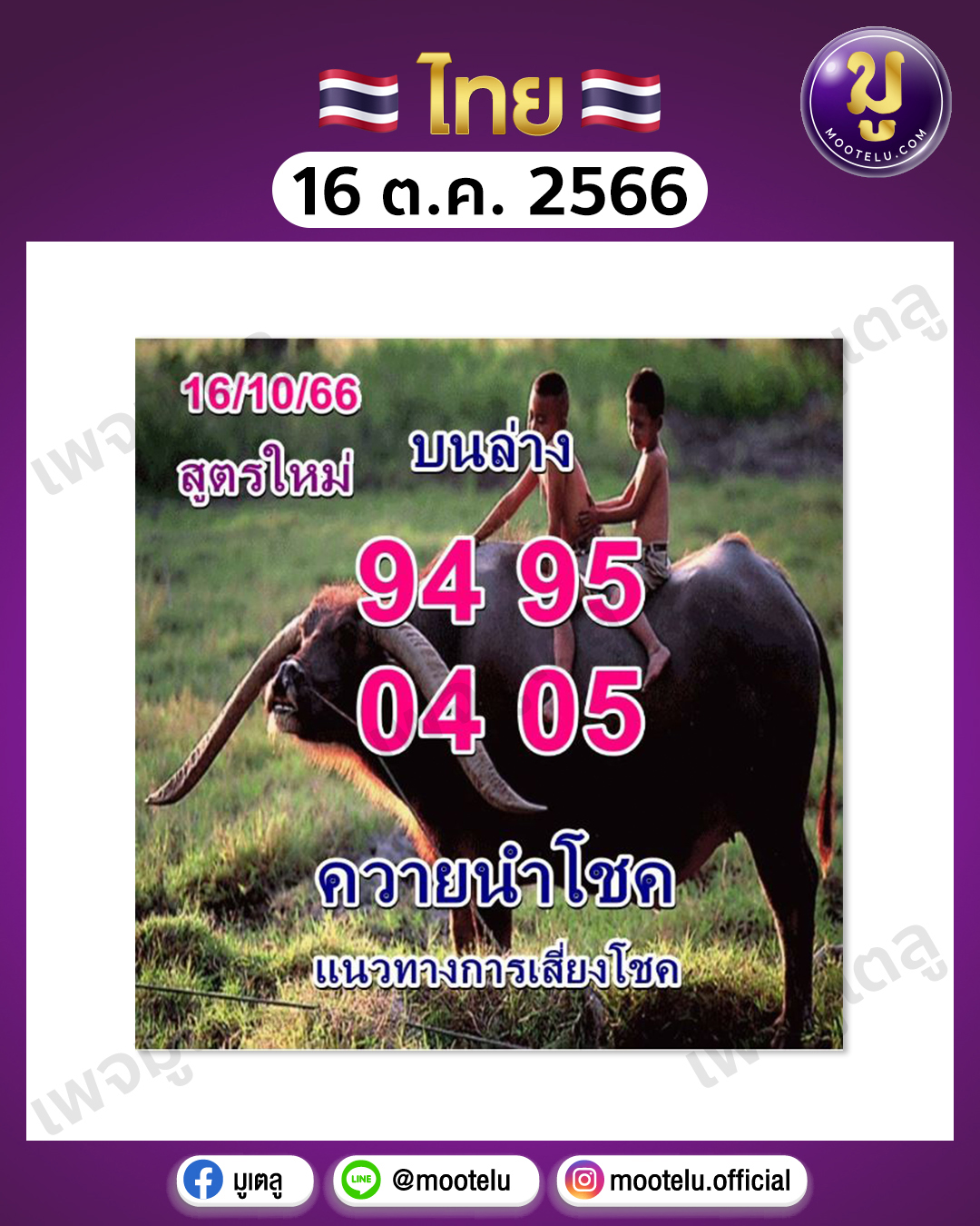 หวยควายนำโชค 16-10-66